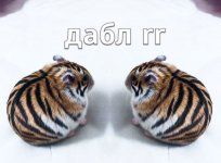 cfb79ddee333ecbbf2412fe107ef6600.jpg